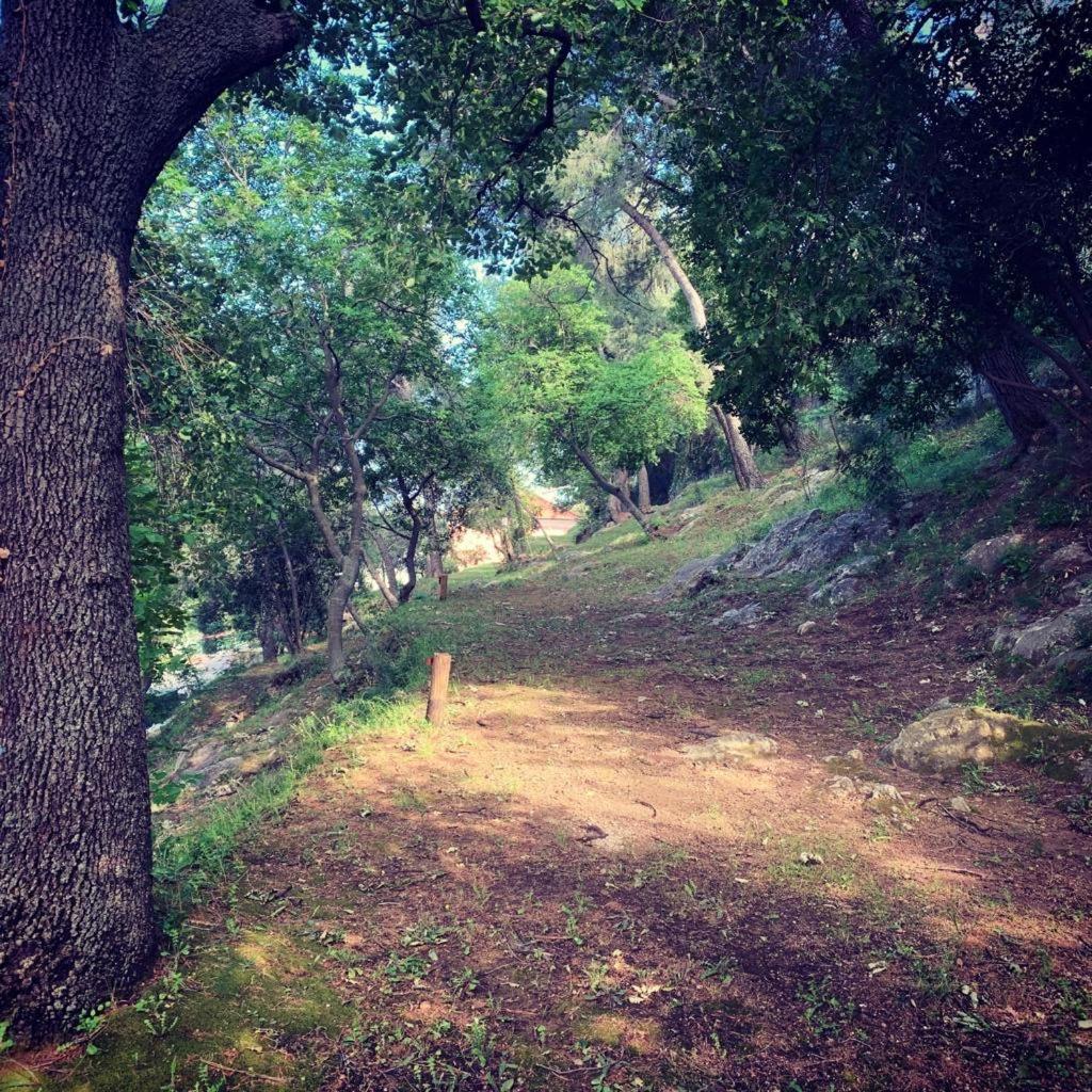 Parco Vacanze E Appartamenti Pfirsich Borghetto Santo Spirito Luaran gambar